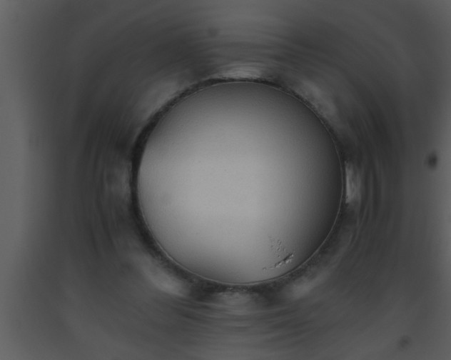 X0000093510300200710191317