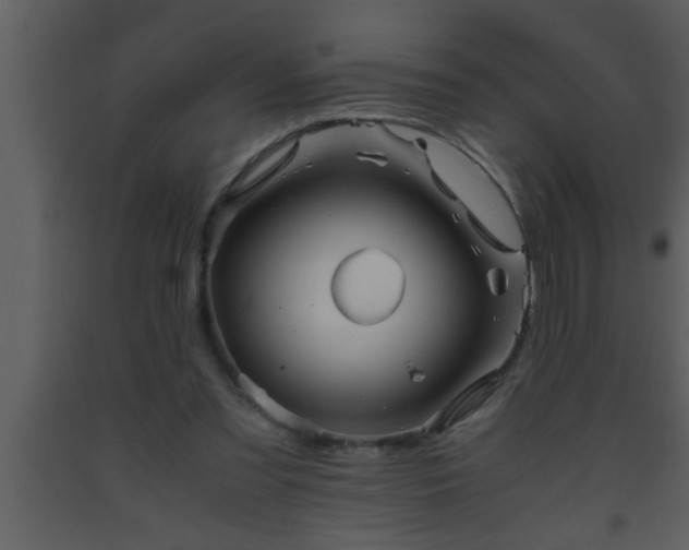 X0000093510301200710191317