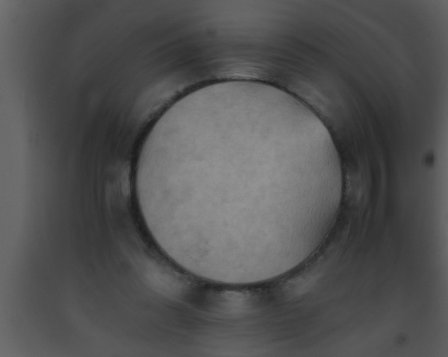 X0000093510302200710191317
