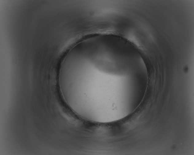 X0000093510303200710191317