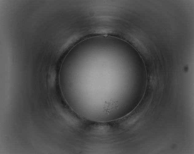 X0000093510304200710191317