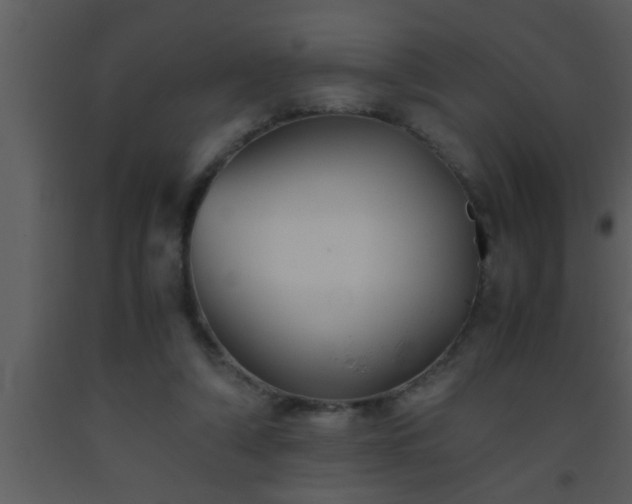 X0000093510306200710191317