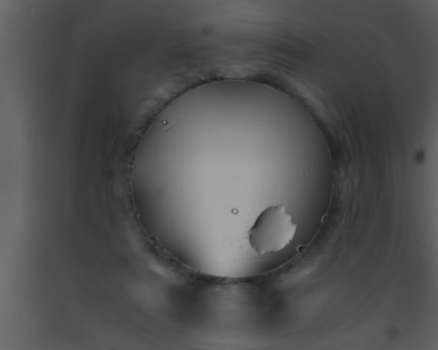 X0000093510307200710191317
