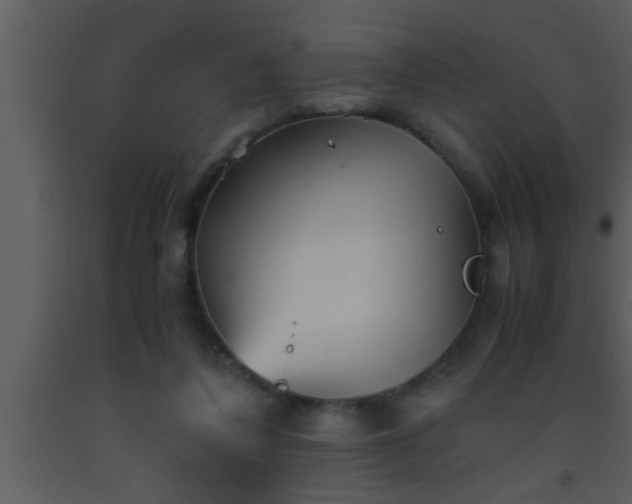 X0000093510308200710191317