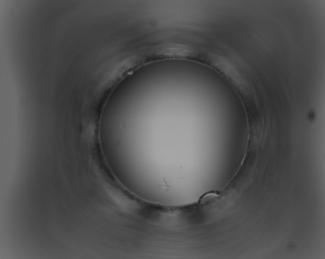 X0000093510309200710191316