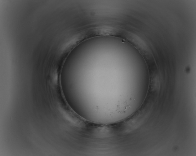 X0000093510310200710191316