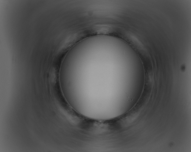 X0000093510311200710191316
