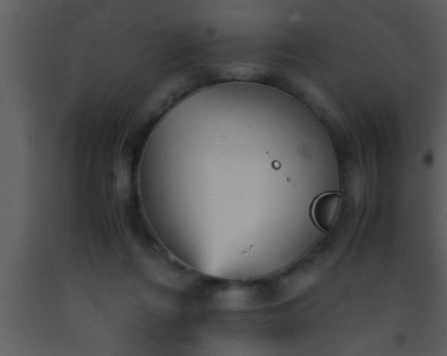 X0000093510312200710191316