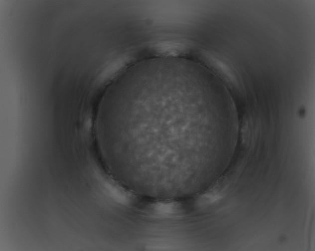 X0000093510314200710191316