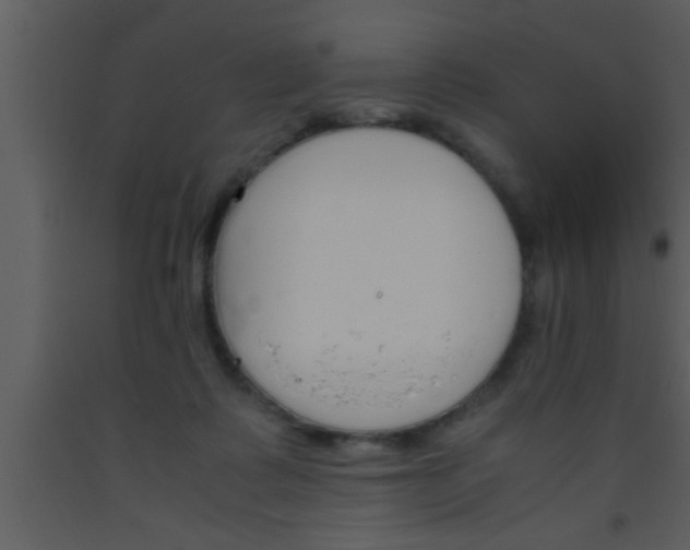 X0000093510315200710191316