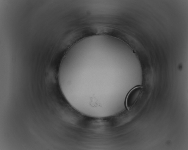 X0000093510316200710191316