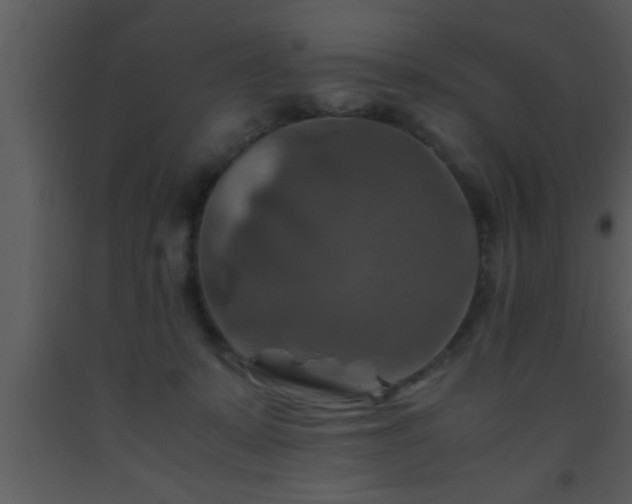 X0000093510319200710191316