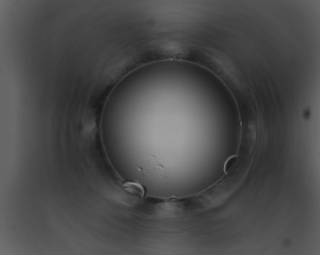 X0000093510320200710191316