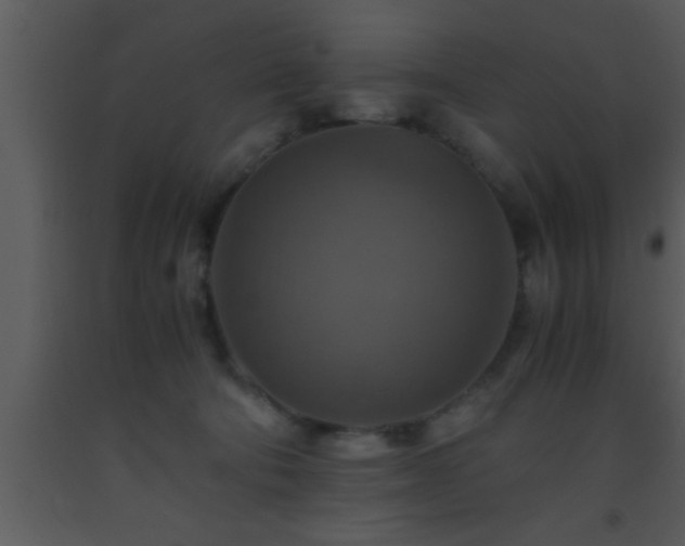 X0000093510322200710191316