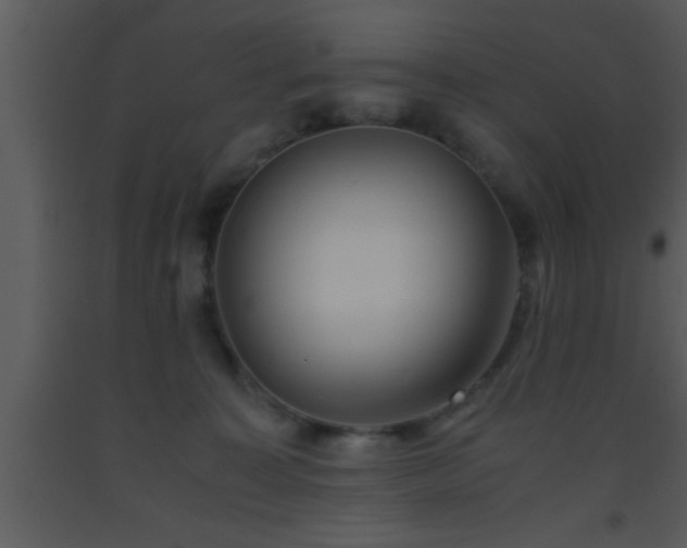 X0000093510323200710191316