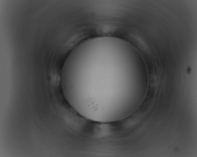 X0000093510324200710191316