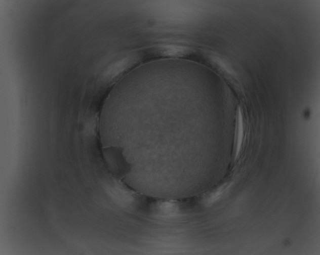 X0000093510325200710191316