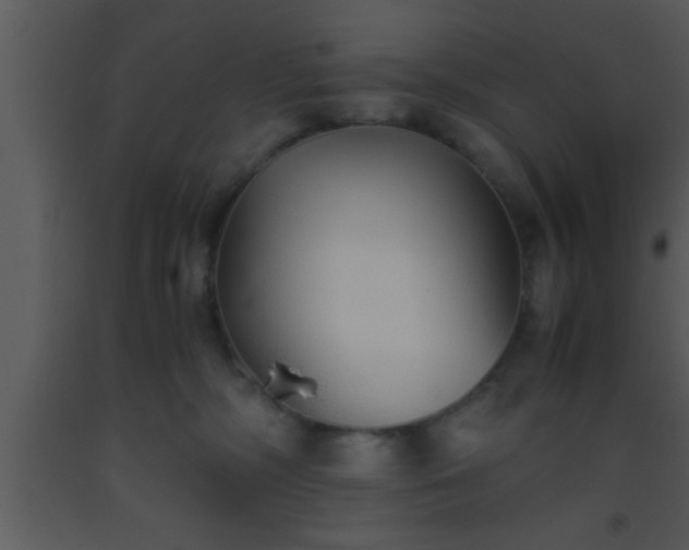 X0000093510326200710191316