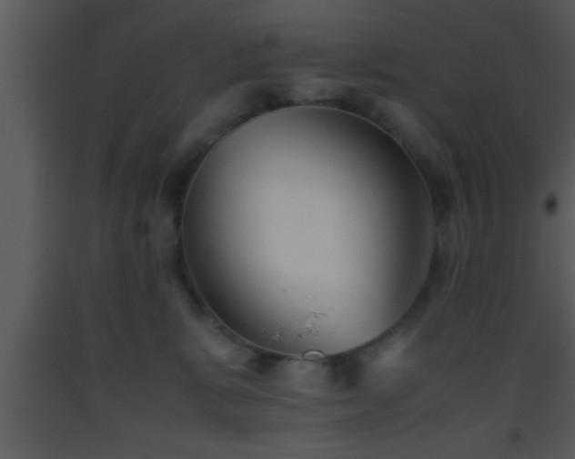 X0000093510327200710191316