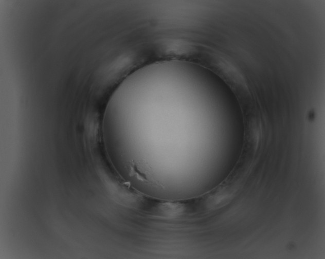 X0000093510328200710191316