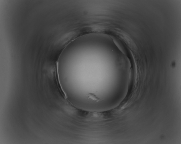 X0000093510329200710191316