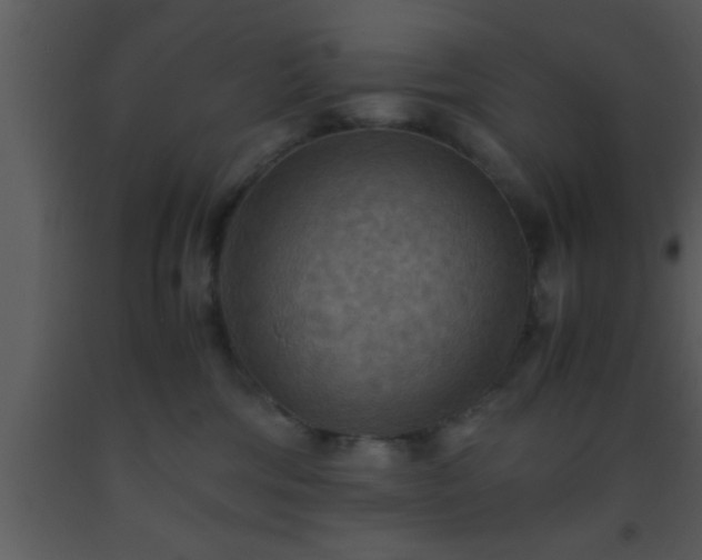 X0000093510330200710191316