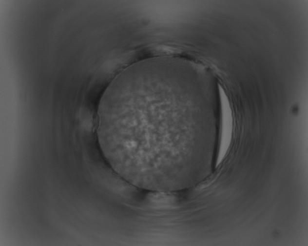 X0000093510331200710191316