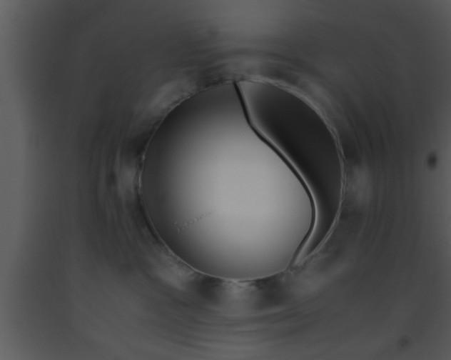 X0000093510333200710191316
