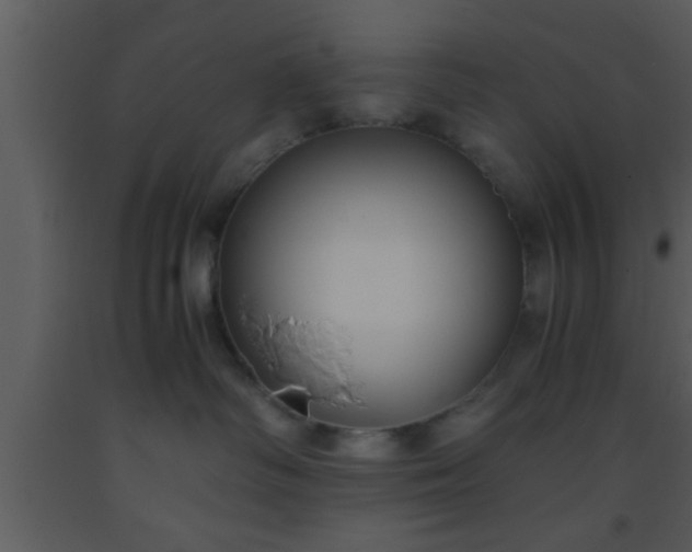 X0000093510334200710191316