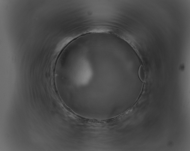 X0000093510337200710191315