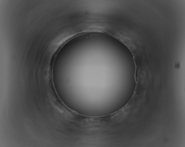 X0000093510338200710191315