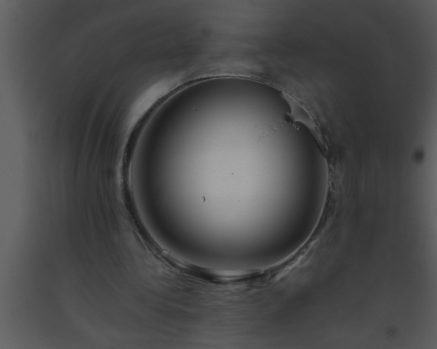 X0000093510340200710191315