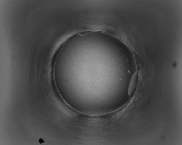 X0000093510342200710191315
