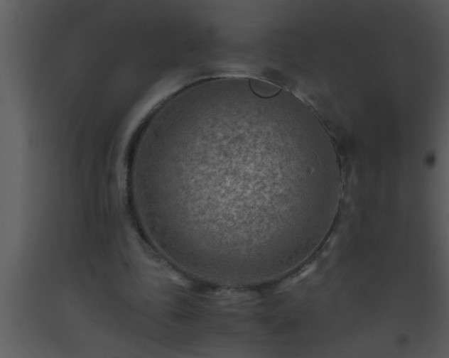 X0000093510343200710191315