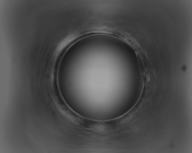 X0000093510344200710191315