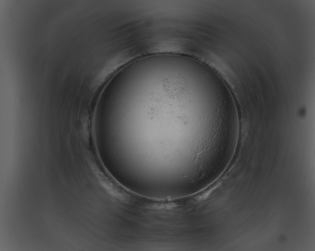 X0000093510345200710191315