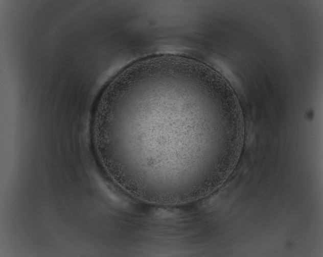 X0000093510346200710191315
