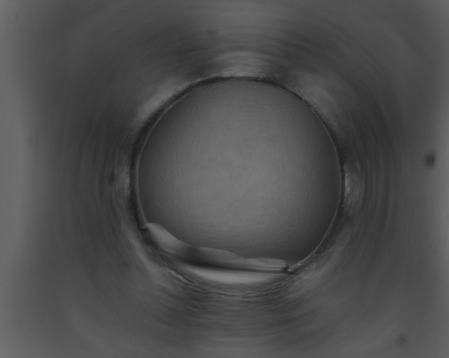 X0000093510348200710191316