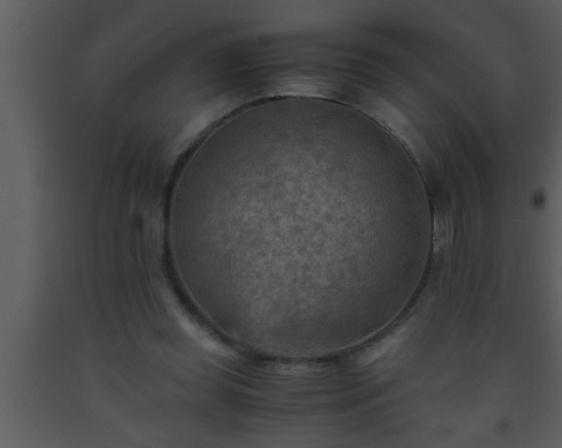 X0000093510349200710191316