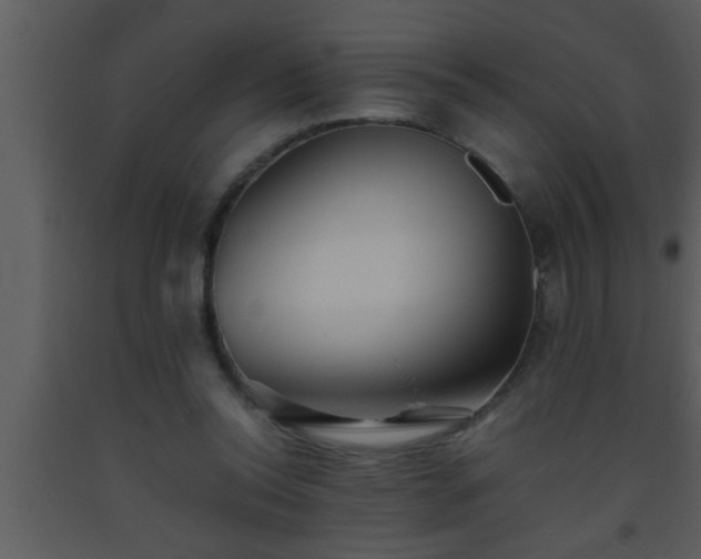 X0000093510350200710191316