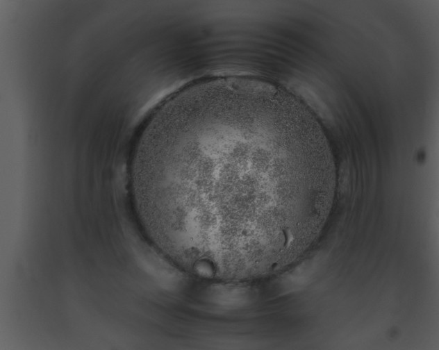 X0000093510351200710191316