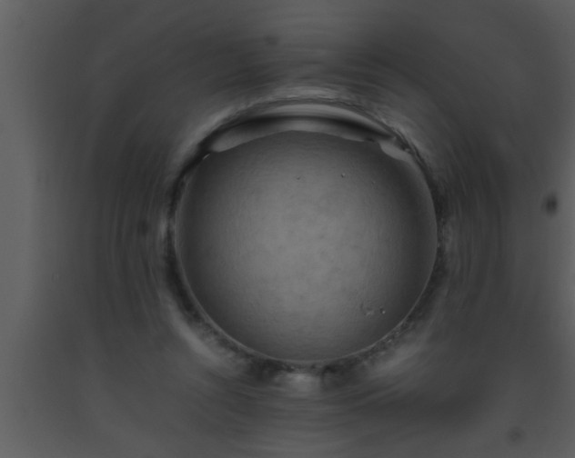 X0000093510352200710191316
