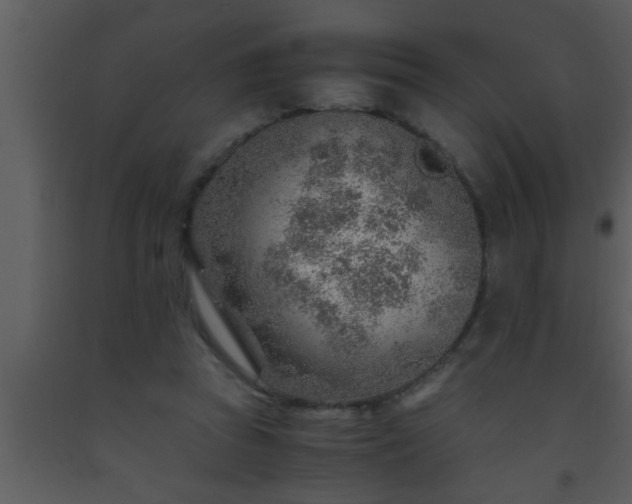 X0000093510353200710191316