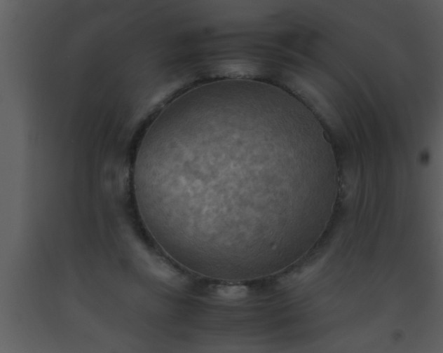 X0000093510355200710191316