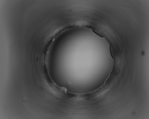 X0000093510356200710191316