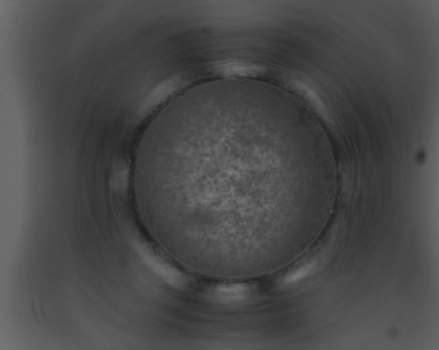 X0000093510357200710191316