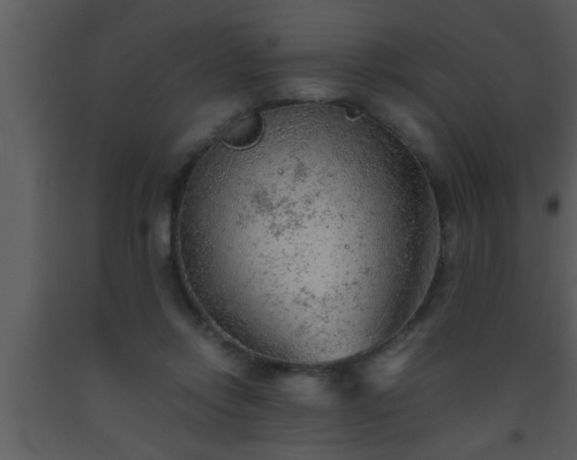 X0000093510358200710191316