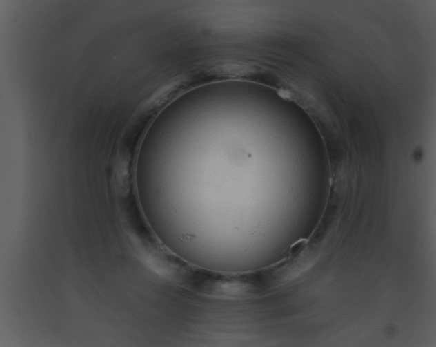 X0000093510360200710191316