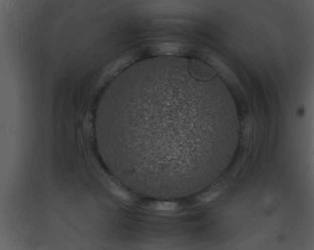 X0000093510361200710191316