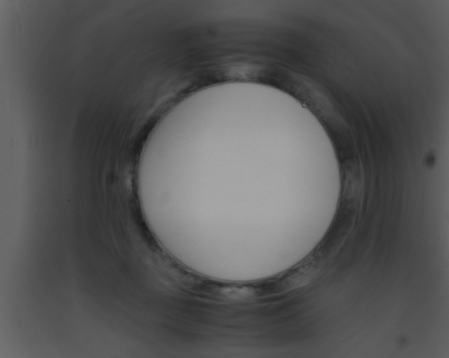 X0000093510363200710191316